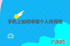 手机上如何申报个人所得税,个体户在手机上怎么报税？