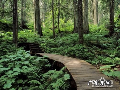 我们拼命赚钱是为了什么,一个拼命挣钱的女人？