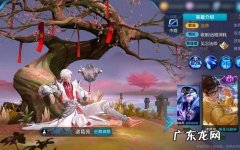 诸葛亮武陵仙君多少钱 诸葛亮武陵仙君多少钱