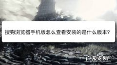 搜狗浏览器手机版怎么查看安装的是什么版本