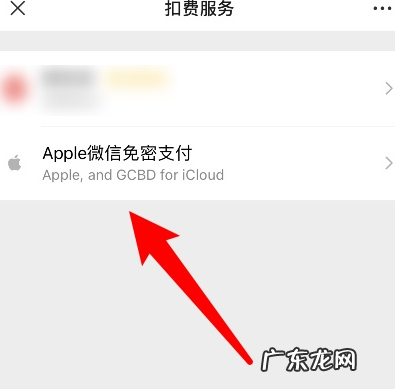 苹果手机怎么关闭微信免密支付?应该怎么操作?