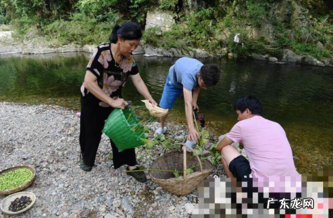 潘姥姥是哪里人？年收入多少？