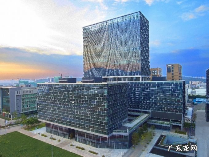 宝龙精锋医疗创始人参加全国经济形势专家和企业家座谈会