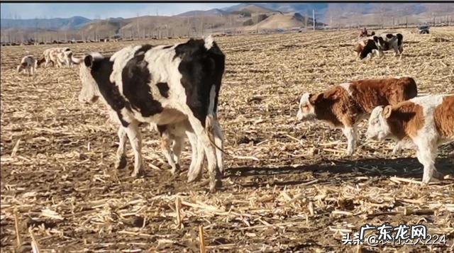脑洞大开:如果雷霆三少从未分开,联盟会是什么样子?