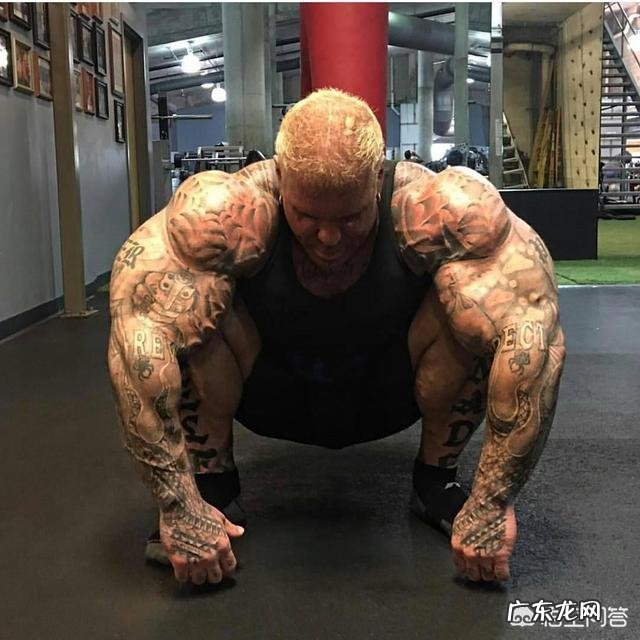 倒三角的身材是训练肩部吗?