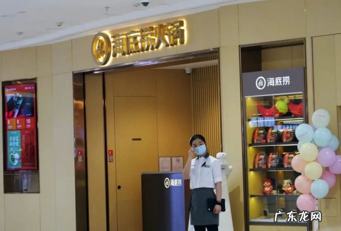 独家对话海底捞首席战略官周兆呈:沙棘锅底研发8个月才推出