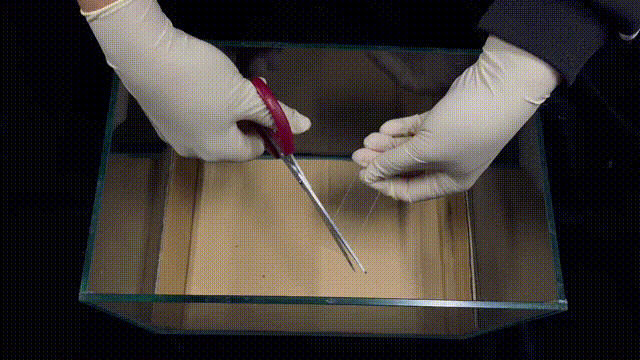 给剪刀加个buff,轻轻松松让玻璃破防~|正经玩