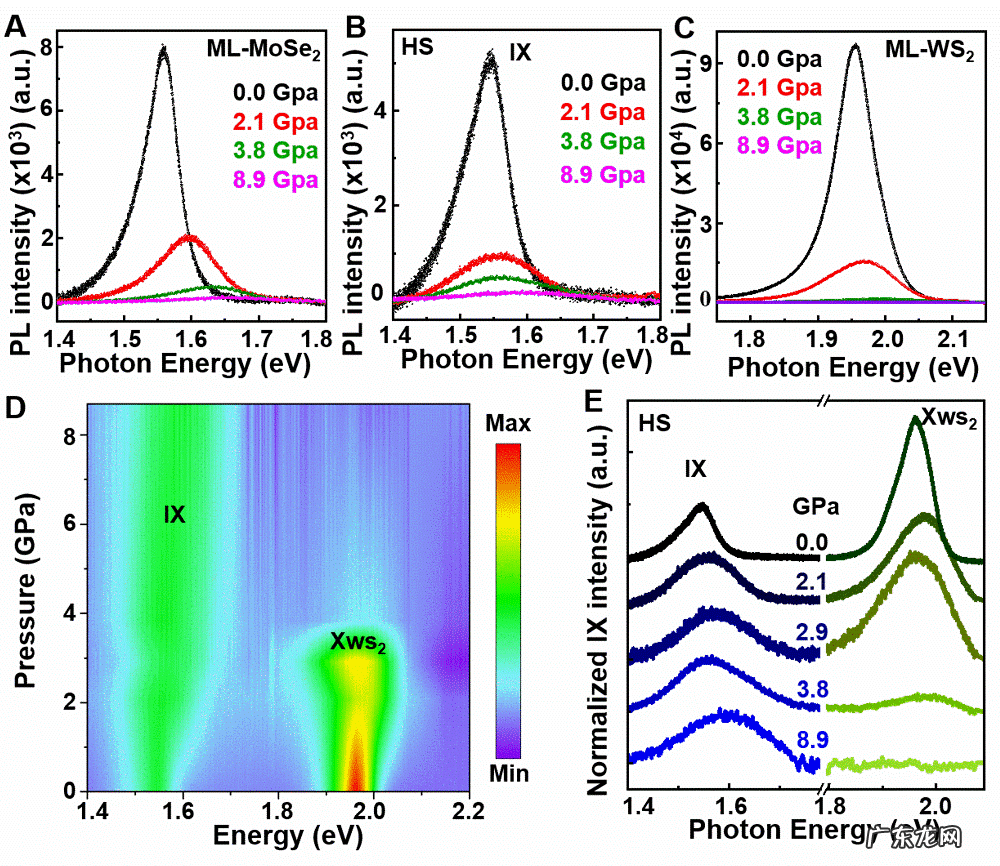 科学家发现高压下WS /MoSe 异质结中稳定的层间激子