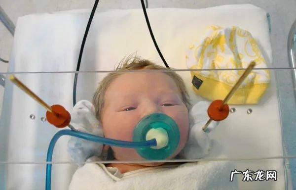 “胎教”不仅存在于人类,雏鸟在蛋里就能识别妈妈的声音