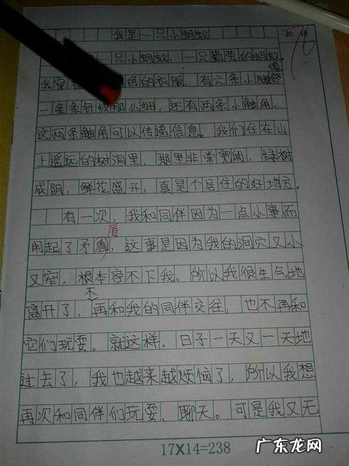 作文怎样写才能得高分 如何才能写好作文