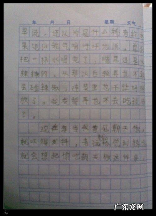 我的日记300字 优秀日记300字大全60篇