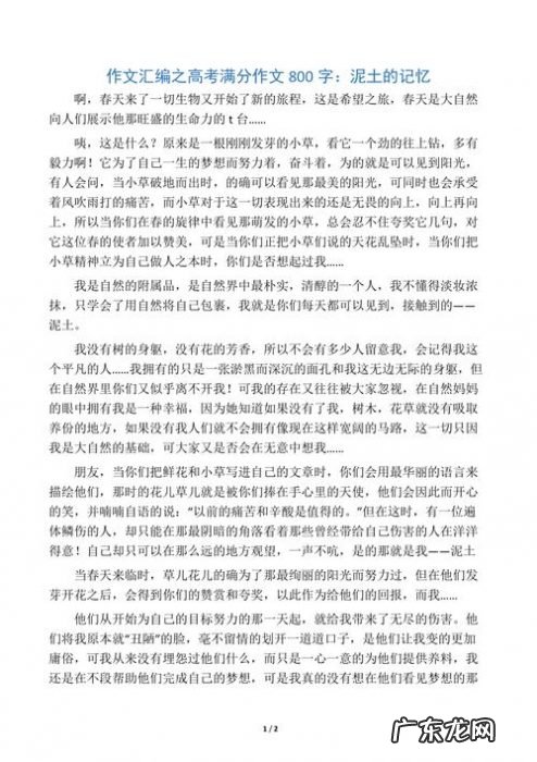 优秀满分作文400字 高考满分记叙文800字