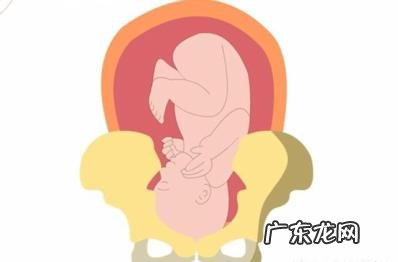 分娩过程中的三个产程详解-分娩三个阶段3个产程