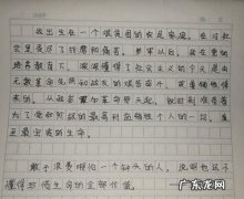 优秀日记摘抄400字 摘抄一篇优秀日记