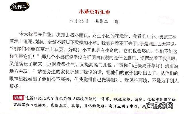 小学三年级日记100字 小学三年级日记大全集