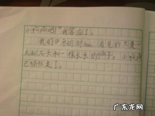 日记作文300字三年级 日记作业