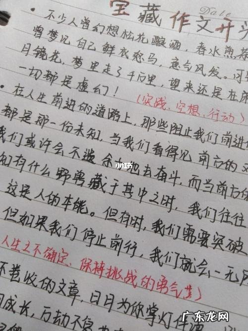 摘抄优秀作文10篇加赏析 摘抄优秀作文10篇