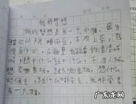 一篇作文50字以上 一篇作文50字
