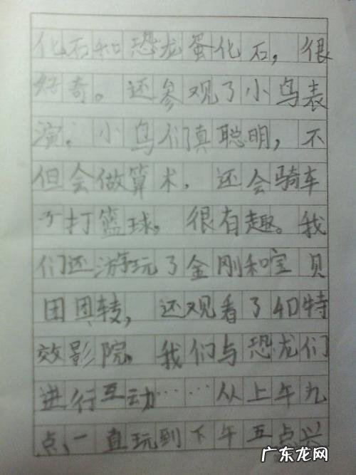 一篇作文50字以上 一篇作文50字