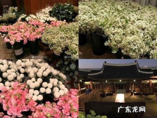 权相宇婚礼崔智友 权相宇婚礼