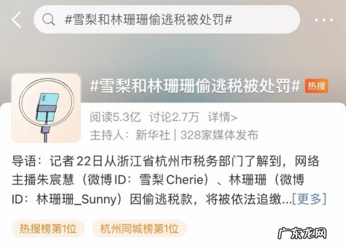 宸帆电商两大千万级头部网红被曝偷漏税,发道歉声明接受处罚