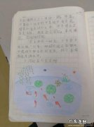 这儿真美100字三年级有中心句 这儿真美100字三年级