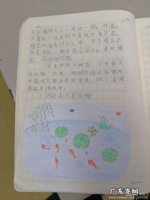 这儿真美100字三年级有中心句 这儿真美100字三年级