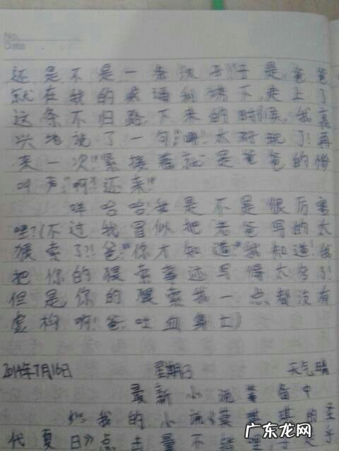 日记抄写300字作文 抄写作文300字左右