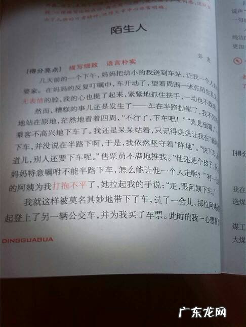 日记抄写300字作文 抄写作文300字左右