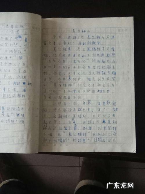 十篇优秀作文200字 抄一篇好作文