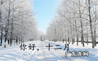 你好十一月的句子 【抖音文案】十一月的好句子