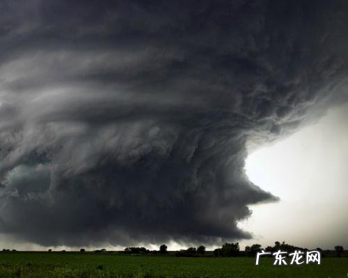 龙卷风刷流量-免费刷流量的龙卷风流量精灵