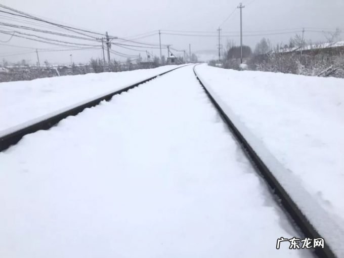 东北又迎特大暴雪,新增积雪30cm,或形成坐冬雪,东北虎会受灾吗?