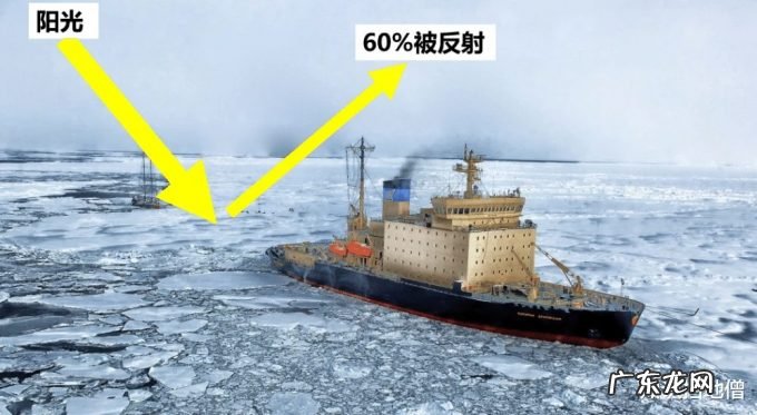 东北又迎特大暴雪,新增积雪30cm,或形成坐冬雪,东北虎会受灾吗?