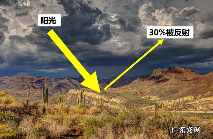 东北又迎特大暴雪,新增积雪30cm,或形成坐冬雪,东北虎会受灾吗?