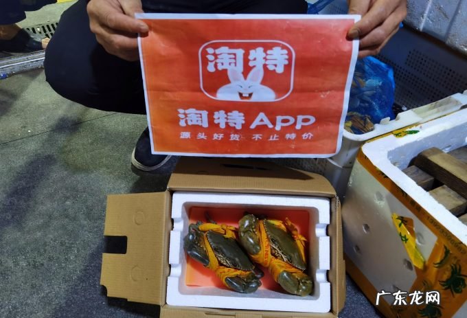 产业带工厂的春天来了，用户达2.4亿的淘特开辟新赛道