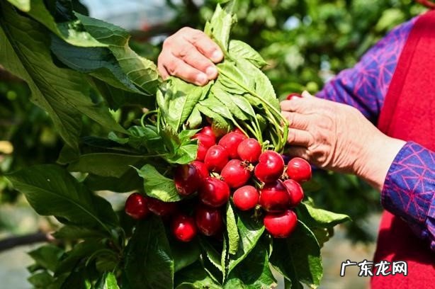 产业带工厂的春天来了，用户达2.4亿的淘特开辟新赛道