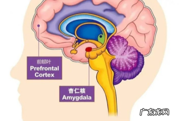 你被焦虑、失眠困扰吗?你试过冥想吗?给自己十分钟,提升专注拒绝焦虑
