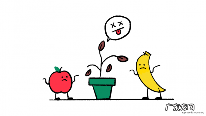 下 UX研究过程中的常见错误