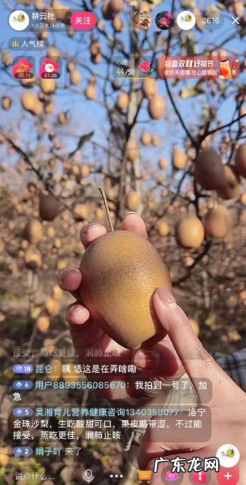 这颗《本草纲目》中的果子,在抖音电商被30万人围观