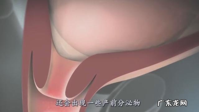 顺产分娩的全部步骤-产妇分娩50分钟