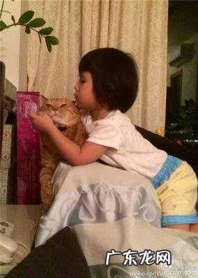 古天乐郭羡妮 郭羡妮女儿