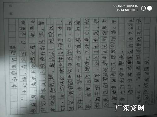 抄写作文400字 抄写作文