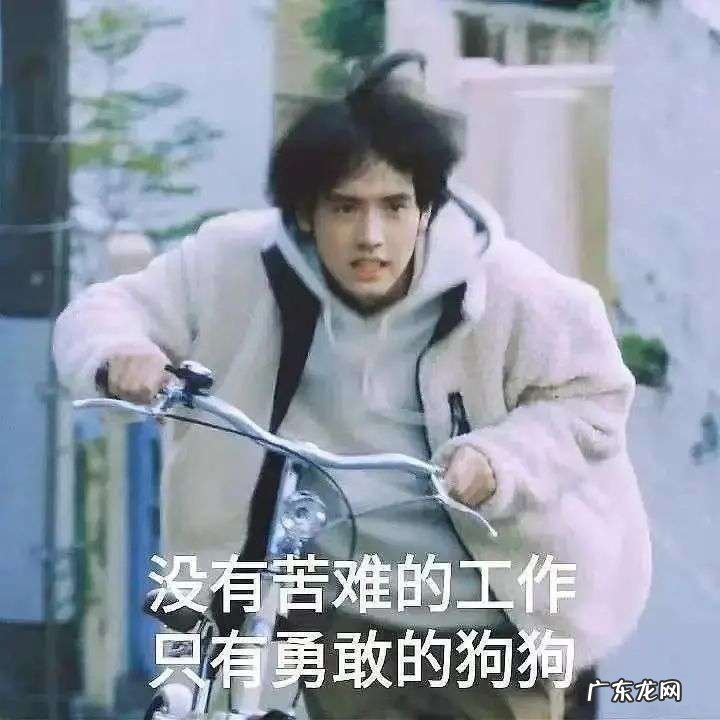 我爱摇粒绒,不是因为穷