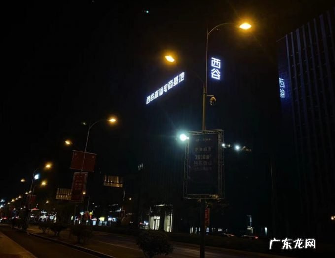 ?带货主播,左右为难