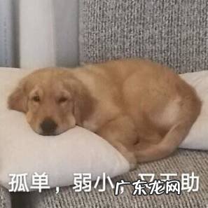 华为官宣!这些5G旗舰手机,正式开卖