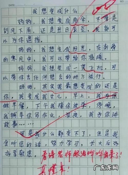 小学生优秀作文400字 小学生优秀作文20篇