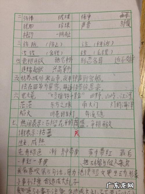 小学三年级上册作文《我的发现》 小学三年级上册作文