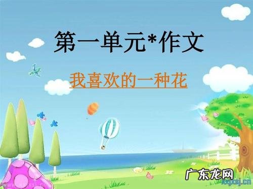 小学三年级上册作文《我的发现》 小学三年级上册作文