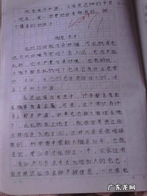 四年级400字优秀作文大全四年级上册 四年级400字优秀作文大全